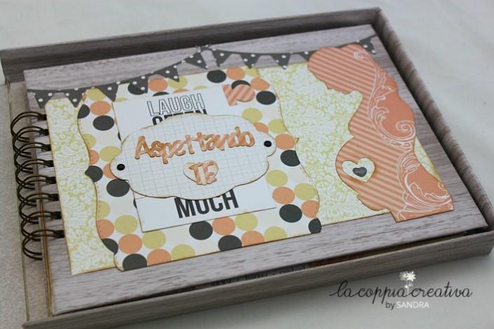 Diario Di Gravidanza Con Copertina Rigida - 82 Pagine Guida, 22,9x15 Cm, Carta 160g/m², Con Fascia Privacy E Busta Ricordi, Regalo Per Future Mamme